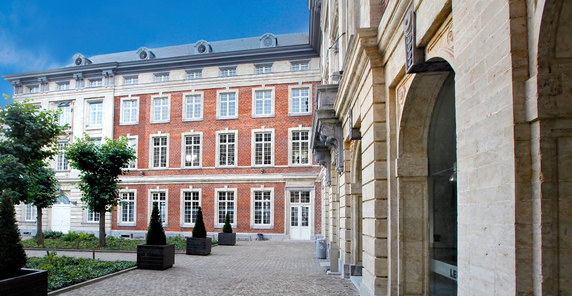 LLM Educational Program with KU Leuven | Luiss